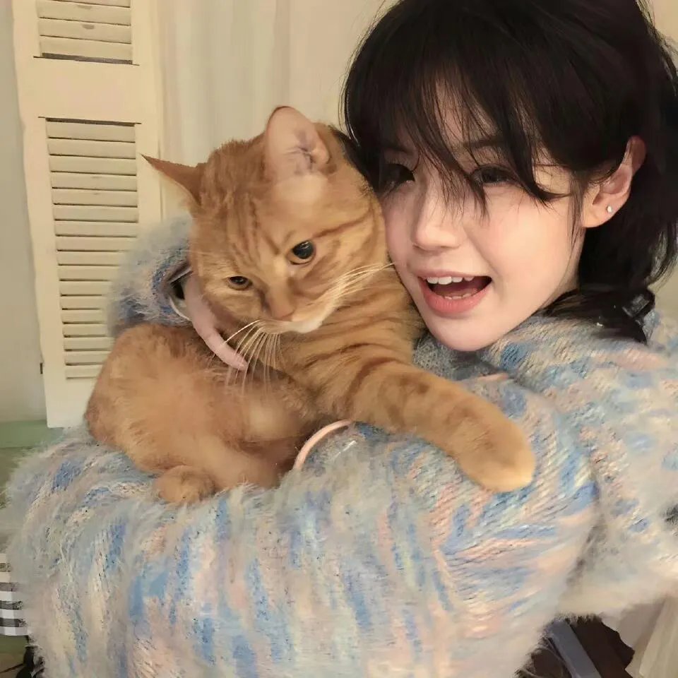 花落莺啼春 海报